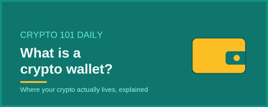 What Is a Crypto Wallet? A Beginner’s Guide to Keeping Your Coins&nbsp;Safe